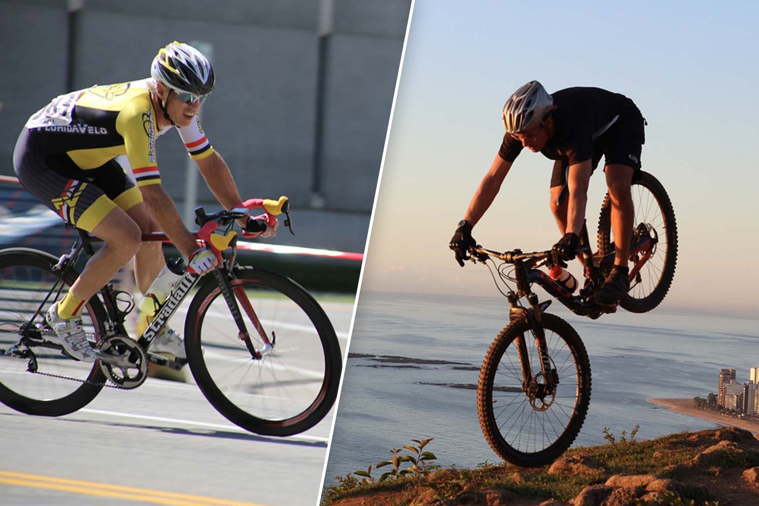 Rennrad oder Mountainbike - welches Fahrrad passt zu dir?
