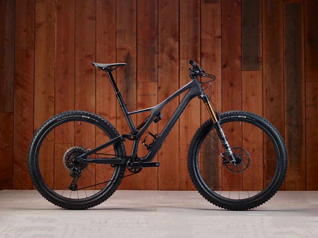 stumpjumper 2019 expert