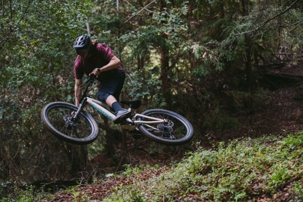 Specialized Stumpjumper 2019 – topmoderner Trail Klassiker in neuem Look