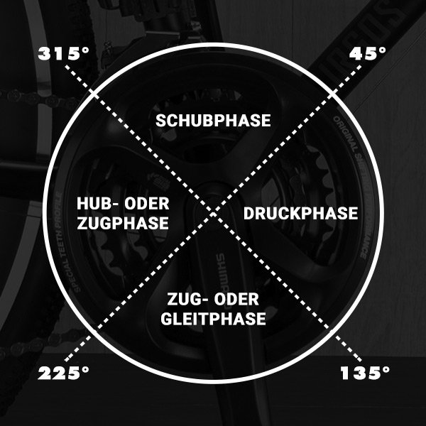 Die 4-Phasen des runden Tritt