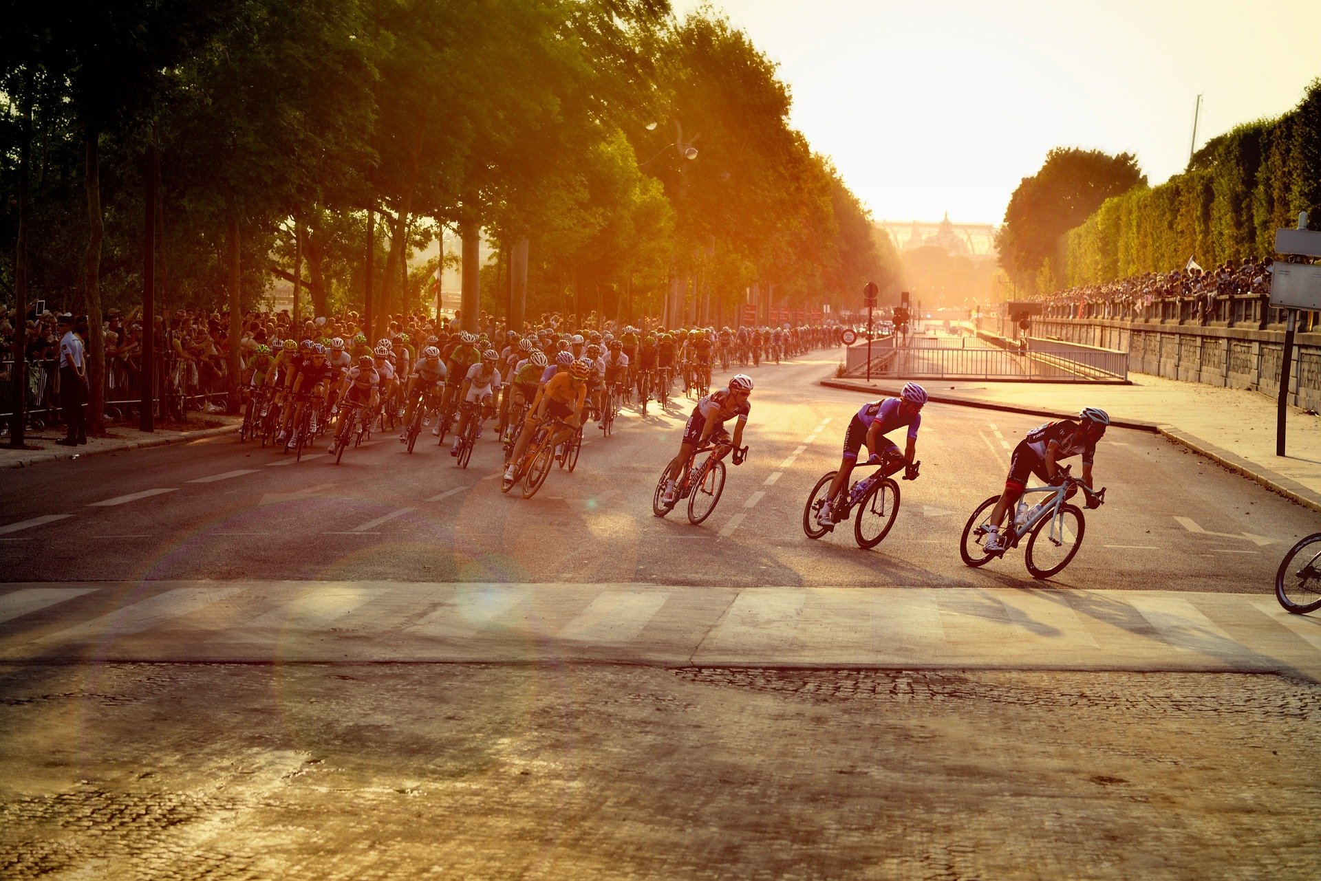 15 interessante Fakten zur Tour de France