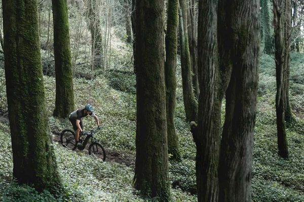 Giant E-Bikes 2019 » Neuheiten & Modelle