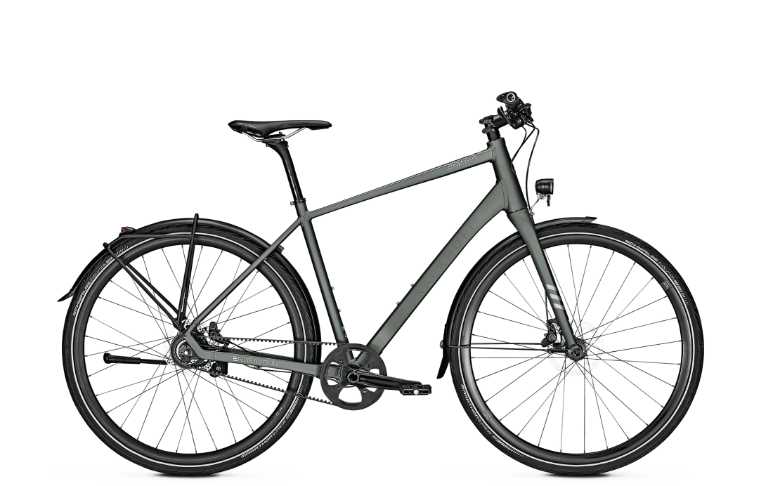 Kalkhoff 2019 Endeavour Lite 8