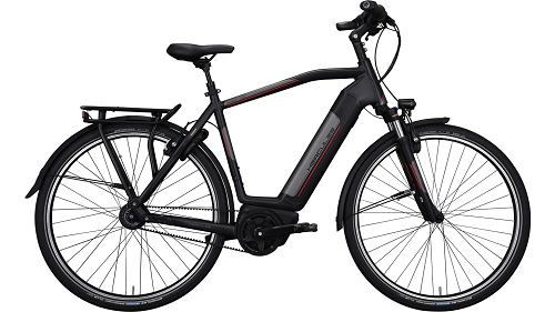 Hercules E-Bikes 2019 - Kategorien und Produkte Hercules Robert(a) Pro I-F8 Diamantrahmen