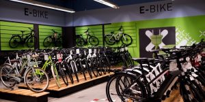 E-Bike Markt 2019 - Markenvielfalt