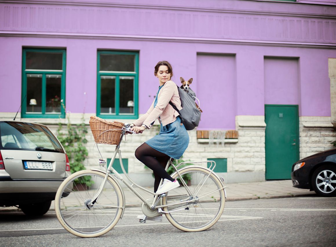 Citybikes für den Sommer - Die schönsten, klassischsten und günstigsten Citybikes Das schöne Retro Fahrrad