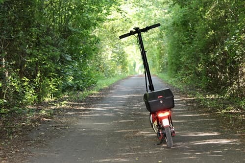 Zugewachsener Radweg