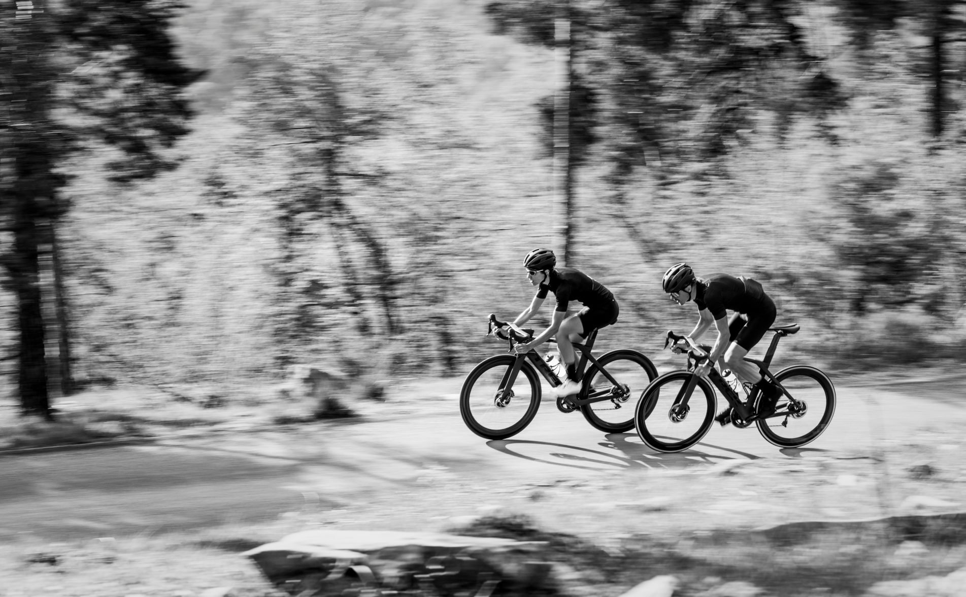 Trek Bikes 2020 Neuheiten & Highlights Fahrrad XXL Blog