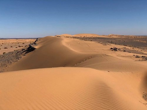 E-Bike Desert Challenge 2020 - Fahrrad XXL ist dabei! Sand soweit das Auge reicht