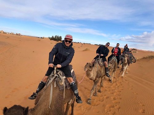 E-Bike Desert Challenge 2020 - Fahrrad XXL ist dabei! "Tierischer" Transport
