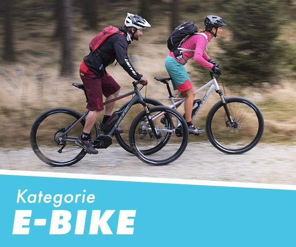 Kategorie: E-Bike