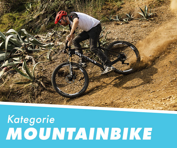 Fahrrad XXL Blogawards 2020 Kategorie: Mountainbike