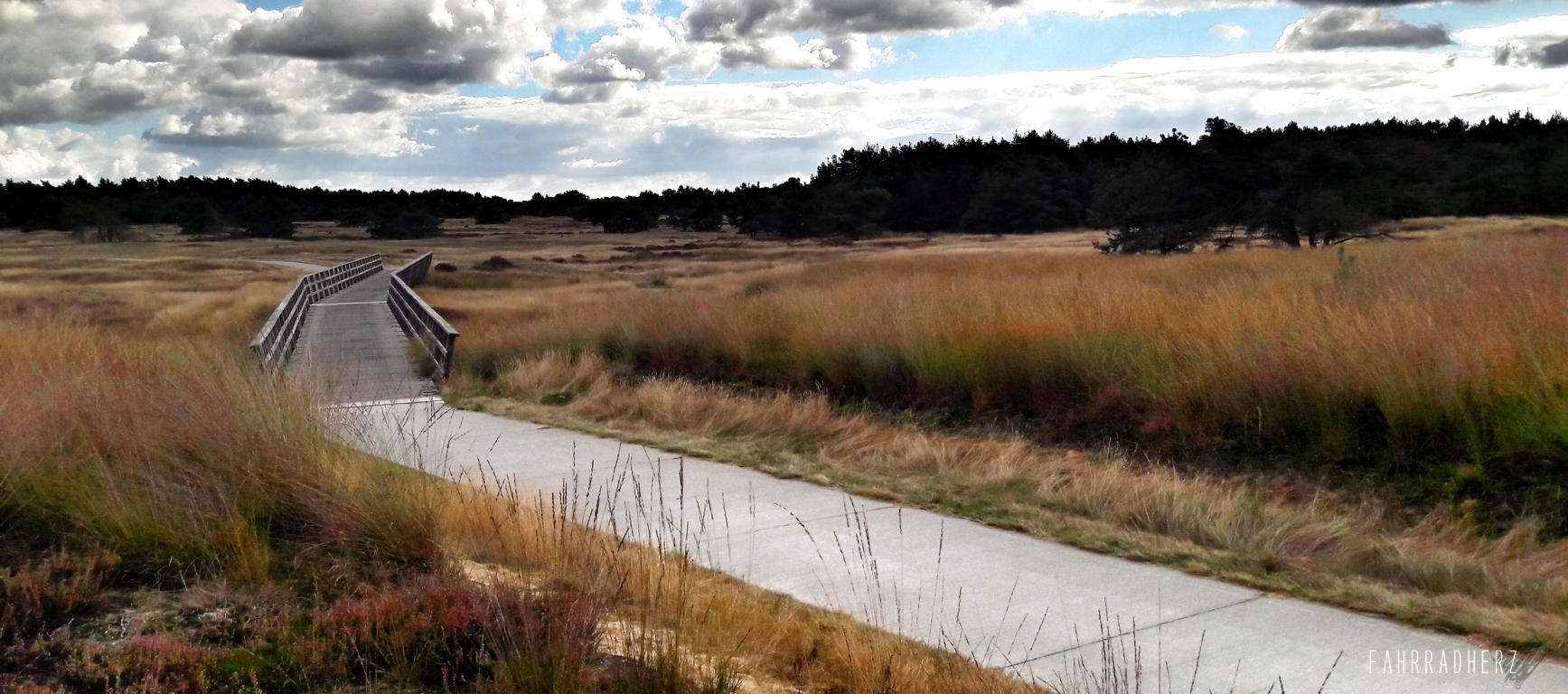 Fahrradtour für Anfänger von Fahrradherz im niederländischen Naturpark De Ho