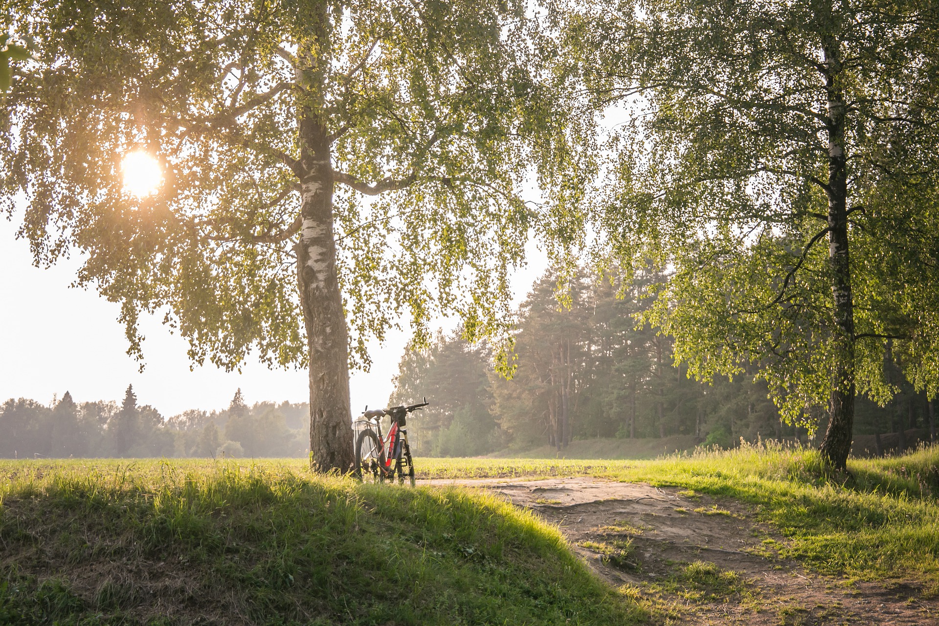 Fahrrad-Tagestouren in den diesjährigen Sommerurlaub einplanen