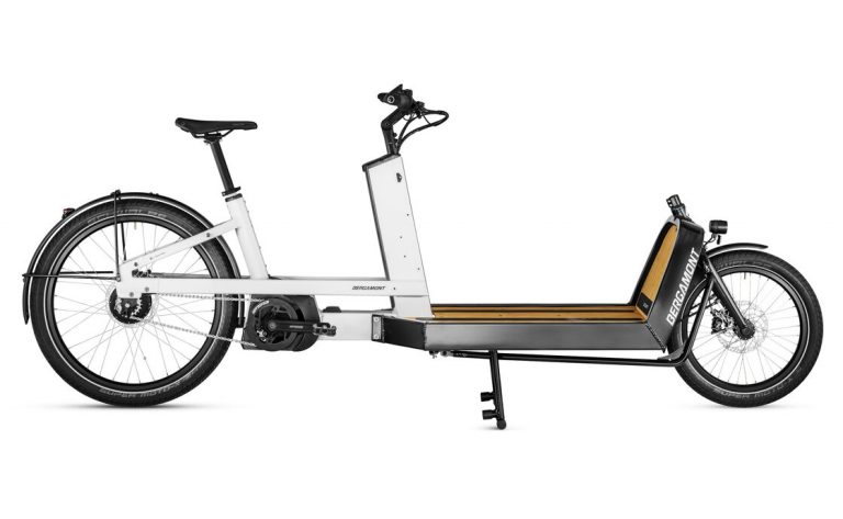 Lastenrad & E-Lastenrad Test 2022 - Tipps & Testsieger Fahrrad XXL Blog