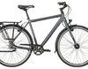Bergamont Vitess N8 FH Gent - 2018 - 28 Zoll - Diamant