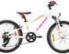 Carver Strict 20 - 20 Zoll - Hardtail