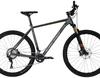 Carver Strict CPS - 29 Zoll - Hardtail
