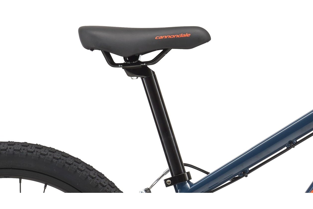 cannondale trail xxl