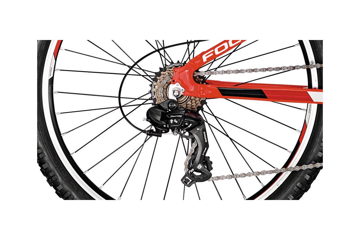 Focus Raven Rookie 26 2019 26 Zoll kaufen Fahrrad XXL