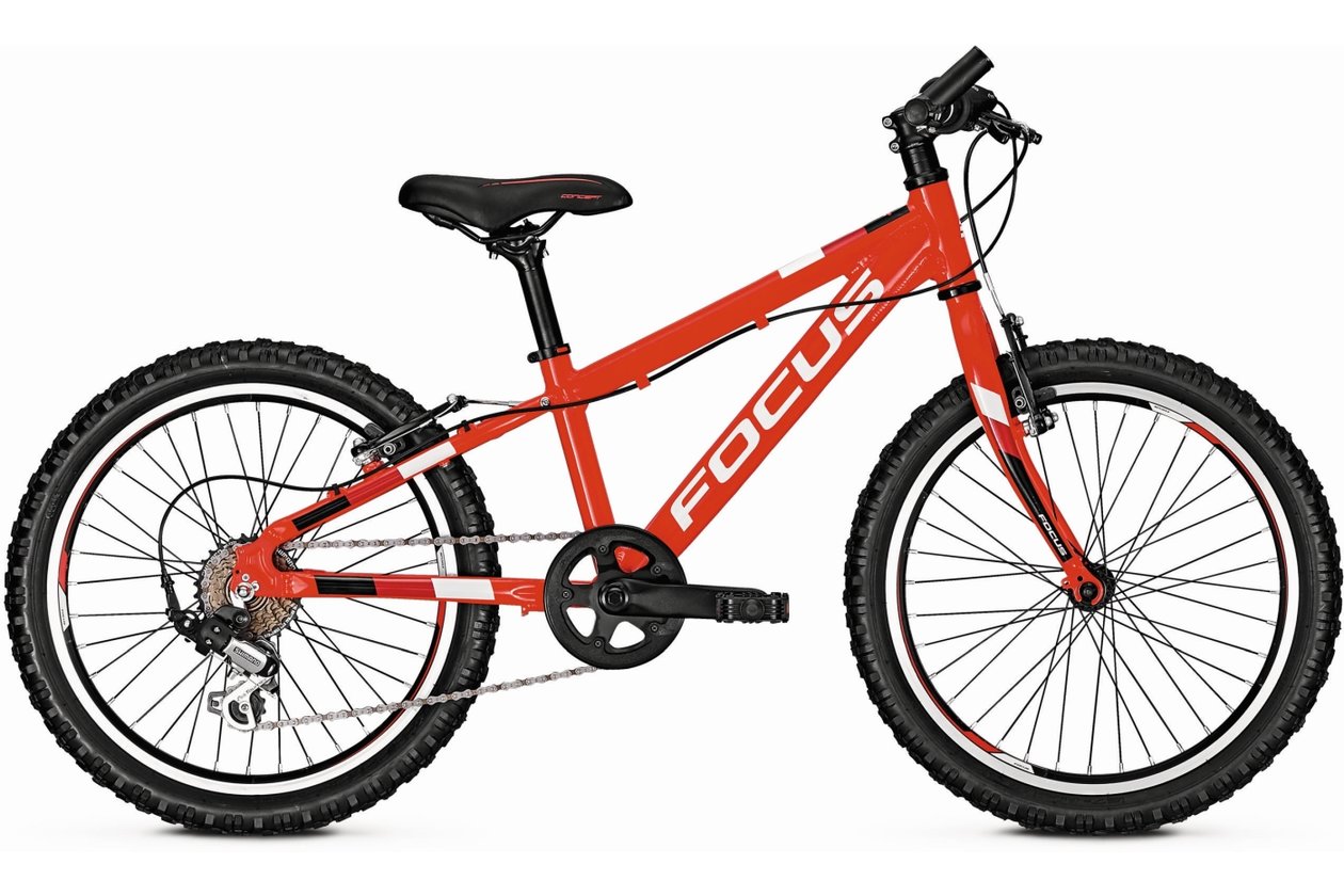 Focus Raven Rookie 20 2019 20 Zoll bestellen Fahrrad XXL