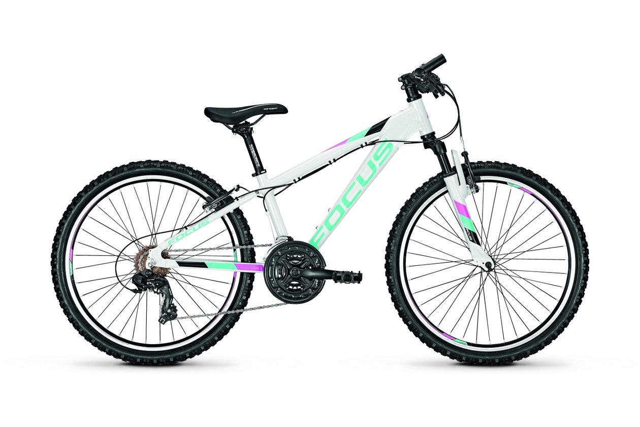 Focus Raven Rookie 20 2019 20 Zoll bestellen Fahrrad XXL