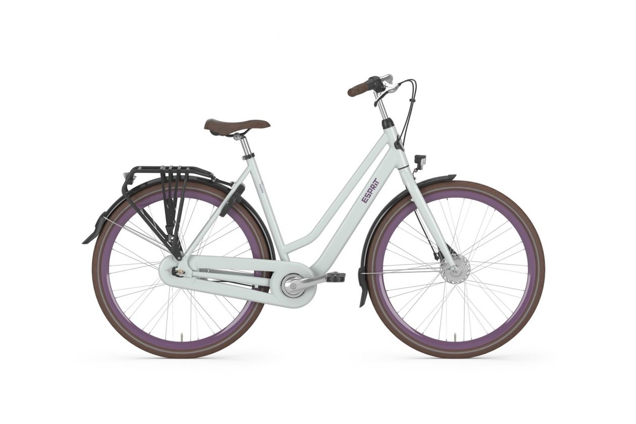 Gazelle Fahrrad Esprit