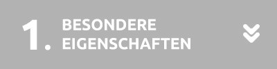 Cargo E-Bike Eigenschfaten SPM E-Lastenfahrrad Eigenschaften