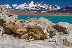 Iran & Chile: Ein Rad - zwei Abenteuer Iran & Chile: Ein Rad - zwei Abenteuer