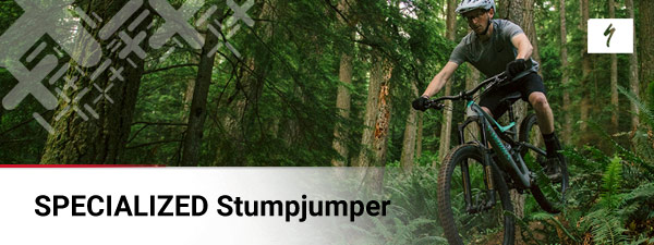 Specialized Stumpjumper