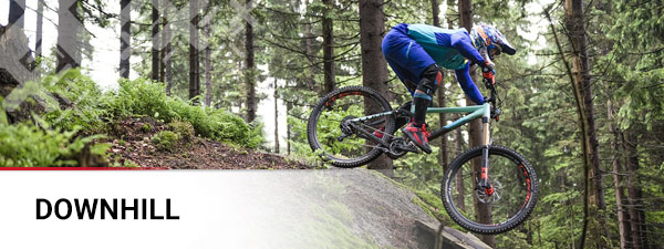 Downhill / Freeride