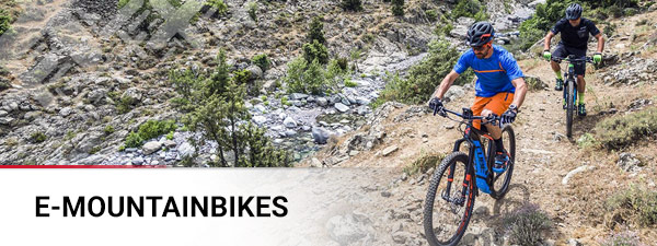 E-Bike MTB