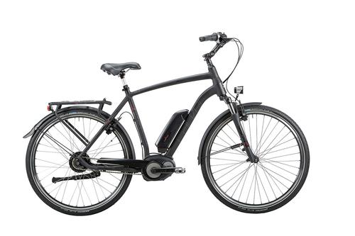 Carver Cityzen E Carver Cityzen E