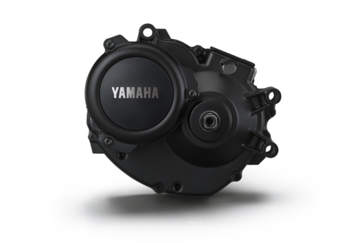 Yamaha PW Motor 2018 Yamaha PW Motor