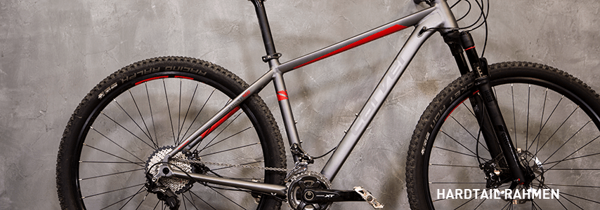 Hardtail Rahmen MTB Beratung: Hardtail Rahmen