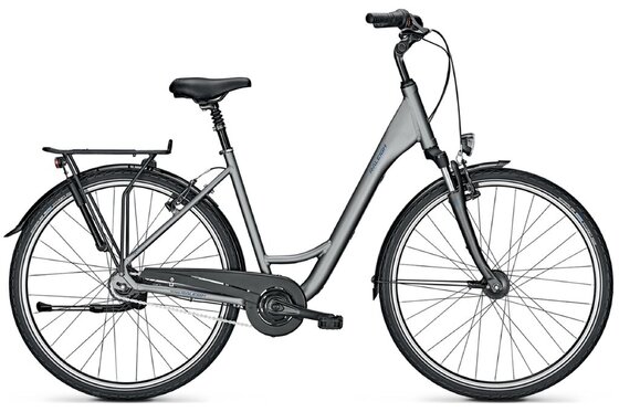 Raleigh - Raleigh Chester 8 - 2021 - 28 Zoll - Tiefeinsteiger
