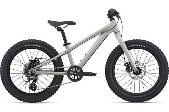 20 Zoll - Kindermountainbikes - Giant STP 20 GIANT - 2023 - 20 Zoll - Diamant