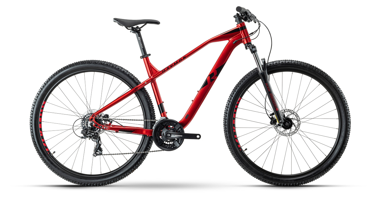 Raymon HardRay Nine 2.0 2022 29 Zoll 