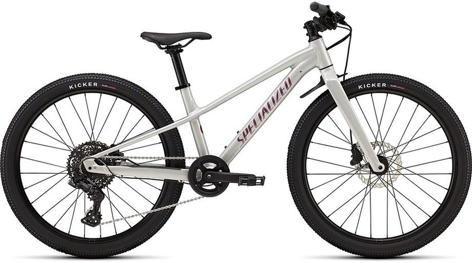 Specialized Riprock 24 INT Grau Modell 2026