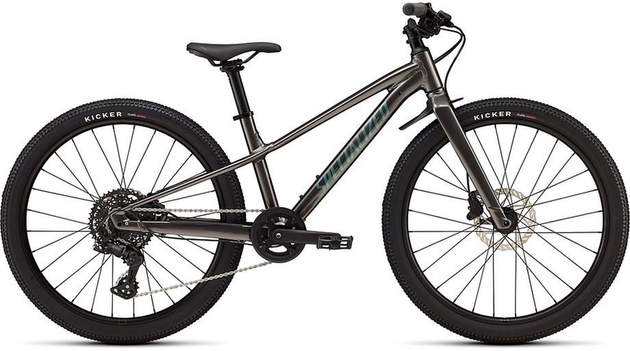 Specialized Riprock 24 INT Grau Modell 2026