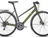 Focus Arriba 3.9 - 2019 - 28 Zoll - Damen Sport