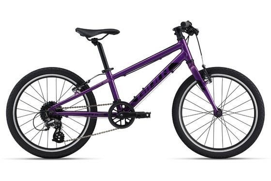 20 Zoll - Kindermountainbikes - Giant ARX 20 - 2023 - 20 Zoll - Diamant