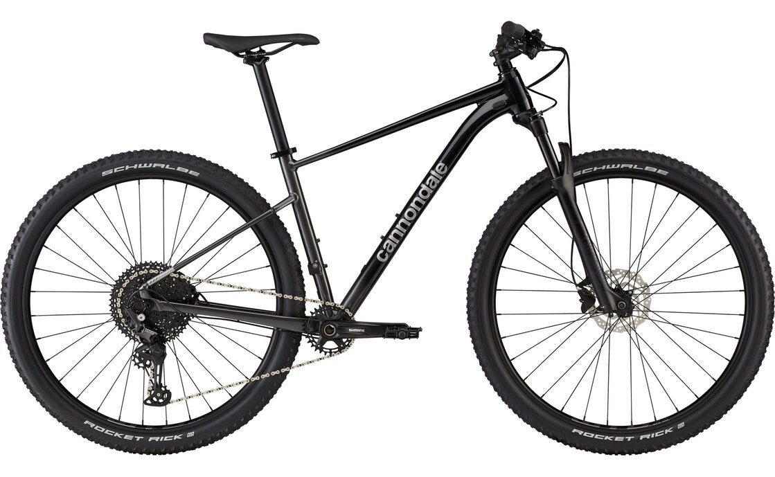 Cannondale Trail SL 3 - 2022 - 29 Zoll - Diamant