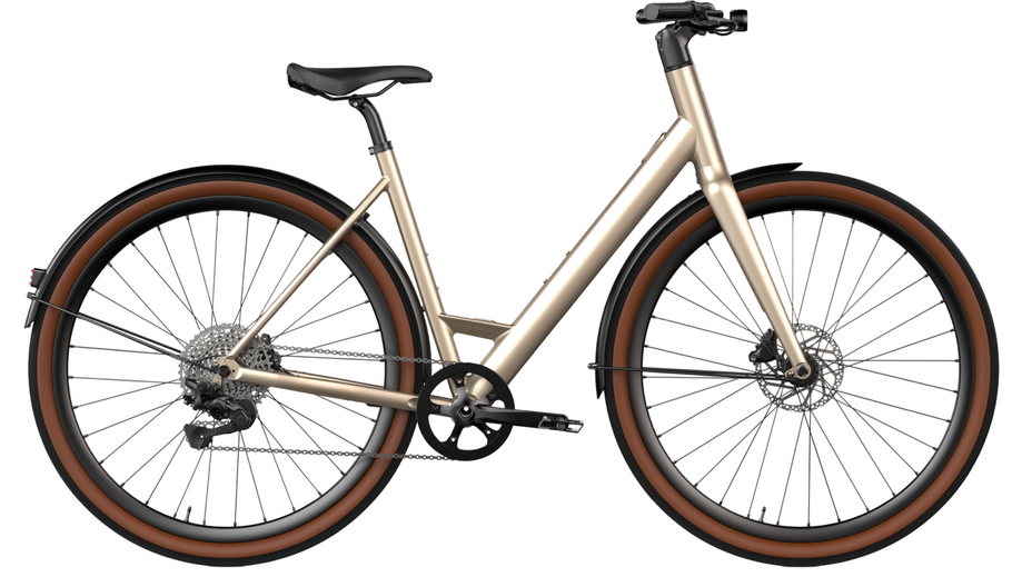 Desiknio Oxytocin Bronze Modell 2026