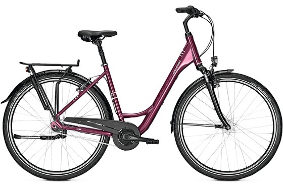 Raleigh - Raleigh Chester 7 - 2022 - 28 Zoll - Tiefeinsteiger