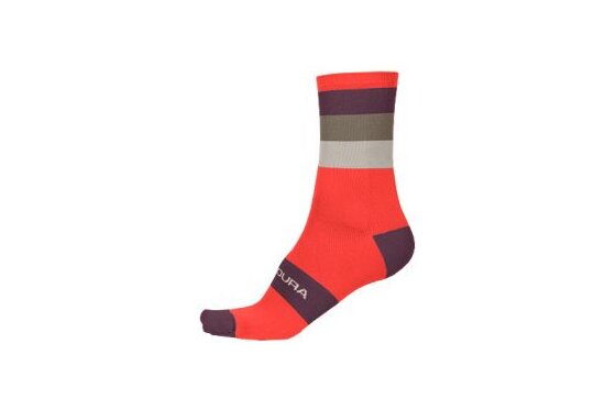 Socken - Endura Bandwidth Streifensocken - 2023