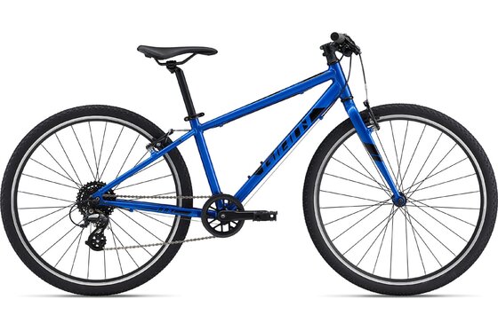 Giant - Mountainbikes - Giant ARX 26 - 2023 - 26 Zoll - Diamant