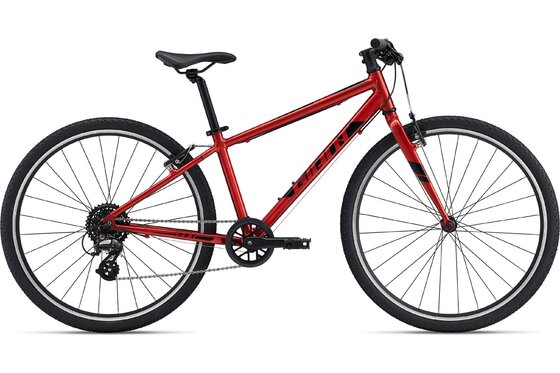 Giant - Mountainbikes - Giant ARX 26 - 2023 - 26 Zoll - Diamant