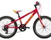 Carver PHT 20 - 2016 - 20 Zoll - Diamant