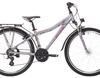 Lakes Flexx 120 Street - 2019 - 26 Zoll - Diamant